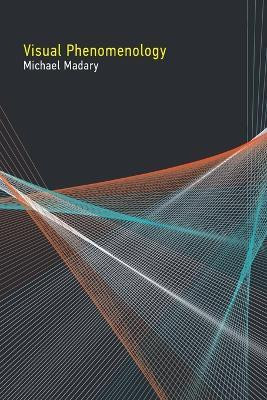 Visual Phenomenology(English, Paperback, Madary Michael)