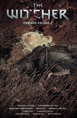 The Witcher Omnibus Volume 2(English, Paperback, Sztybor Bartosz)