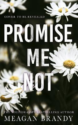 Promise Me Not(English, Paperback, Brandy Meagan)