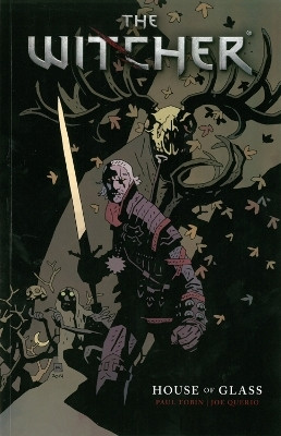 The Witcher Volume 1(English, Paperback, Tobin Paul)