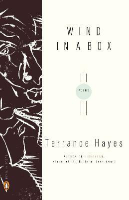 Wind in a Box(English, Paperback, Hayes Terrance)