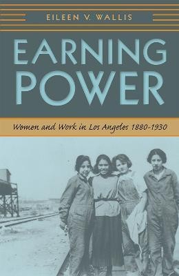 Earning Power(English, Hardcover, unknown)