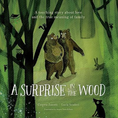 A Surprise in the Wood(English, Hardcover, Zanotti Cosetta)
