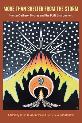 More Than Shelter from the Storm(English, Hardcover, unknown)