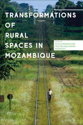 Transformations of Rural Spaces in Mozambique(English, Paperback, unknown)