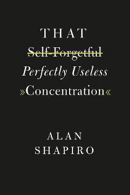 That Self-Forgetful Perfectly Useless Concentration(English, Paperback, Shapiro Alan)