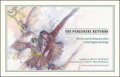 The Peregrine Returns(English, Hardcover, Hennen Mary)