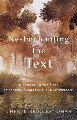 Re-enchanting the Text - Discovering the Bible as Sacred, Dangerous, and Mysterious(English, Paperback, Johns Cheryl Bridges)