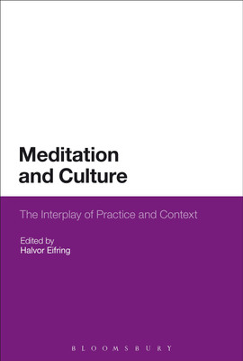 Meditation and Culture(English, Hardcover, unknown)