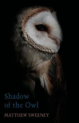 Shadow of the Owl(English, Paperback, Sweeney Matthew)