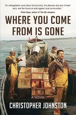 Where You Come From is Gone(English, Paperback, Johnston Christopher)