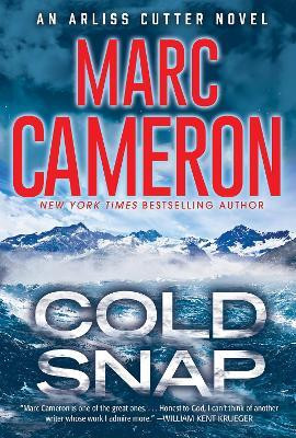 Cold Snap(English, Paperback, Cameron Marc)