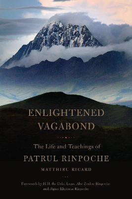 Enlightened Vagabond(English, Paperback, Ricard Matthieu)