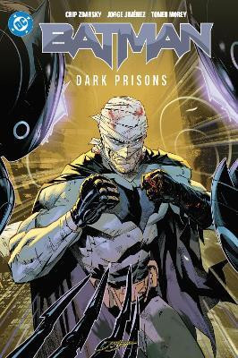 Batman Vol. 4: Dark Prisons(English, Hardcover, Zdarksy Chip)