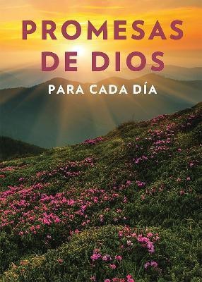 Promesas de Dios para cada dia / God's Promises for Every Day(Spanish, Paperback, Countryman Jack)