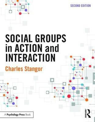 Social Groups in Action and Interaction(English, Paperback, Stangor Charles)
