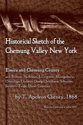 Historical Sketch of the Chemung Valley, New York(English, Paperback, Cheney T Apoleon)