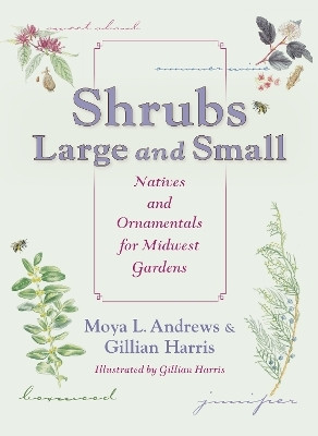 Shrubs Large and Small(English, Paperback, Andrews Moya L.)