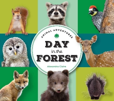 Animal Adventures: Day in the Forest(English, Board book, Claire Alexandra)
