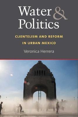 Water and Politics(English, Hardcover, Herrera Veronica)