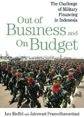 Out of Business and On Budget(English, Electronic book text, Rieffel Lex)