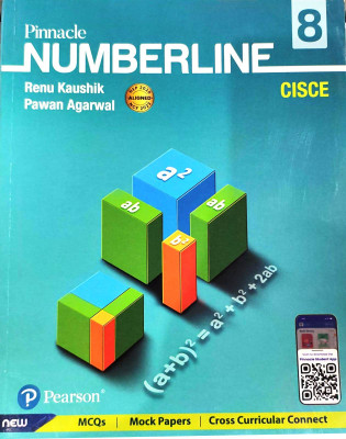 PINNACLE NUMBERLINE FOR CLASS 8(Paperback, RENU KAUSHIK, PAWAN AGARWAL)