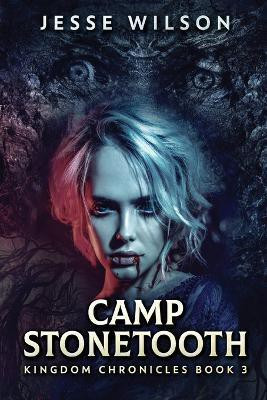 Camp Stonetooth(English, Paperback, Wilson Jesse)
