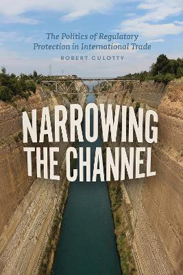 Narrowing the Channel(English, Paperback, Gulotty Robert)