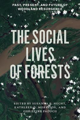 The Social Lives of Forests(English, Paperback, unknown)