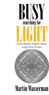 Busy Searching for Light(English, Paperback, Wasserman Martin)