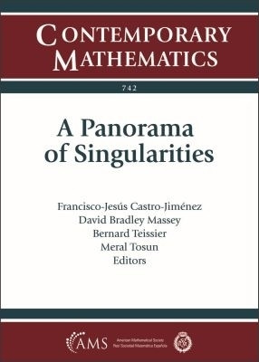 A Panorama of Singularities(English, Paperback, unknown)