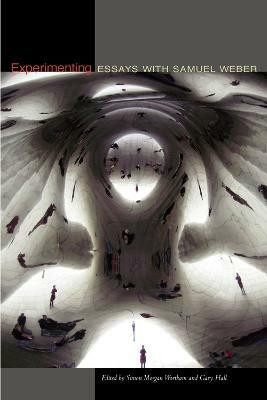 Experimenting(English, Hardcover, unknown)