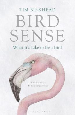 Bird Sense(English, Hardcover, Birkhead Tim)