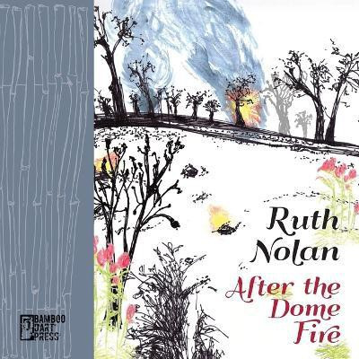 After the Dome Fire(English, Paperback, Nolan Ruth)