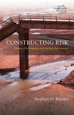 Constructing Risk(English, Paperback, Bender Stephen O.)