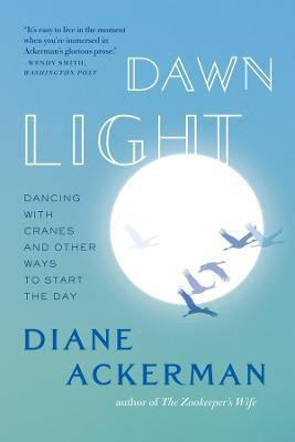 Dawn Light(English, Paperback, Ackerman Diane)