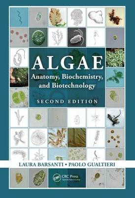 Algae(English, Electronic book text, Barsanti Laura)