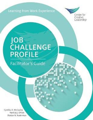 Job Challenge Profile(English, Paperback, McCauley Cynthia D)