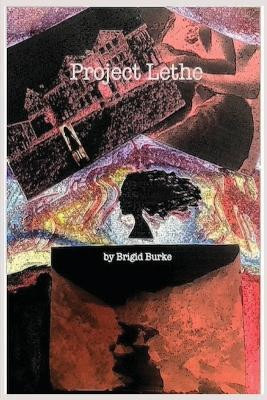 Project Lethe(English, Paperback, Burke Brigid)