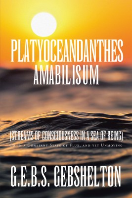 Platyoceandanthes amabilisum (Streams of Consciousness in a Sea of Being)(English, Hardcover, Gebshelton G E B S)