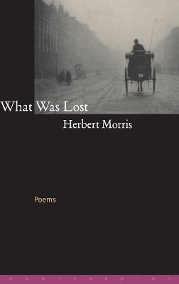 What Was Lost(English, Hardcover, Morris Herbert)
