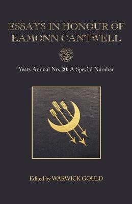 Essays in Honour of Eamonn Cantwell(English, Paperback, unknown)
