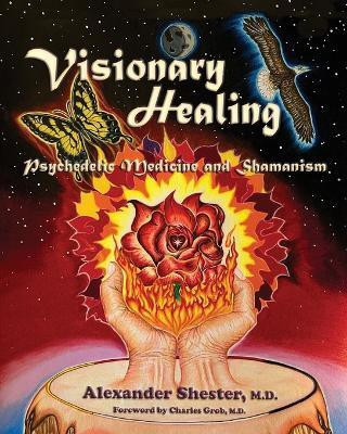 VISIONARY HEALING Psychedelic Medicine and Shamanism(English, Paperback, Shester Alexander M D)