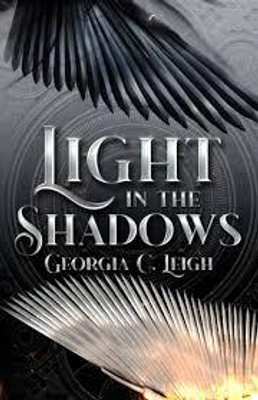 The Light Inside the Shadow(English, Paperback, unknown)