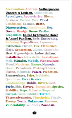 Anthropocene Unseen(English, Paperback, Howe Cymene)