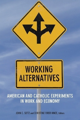 Working Alternatives(English, Electronic book text, unknown)