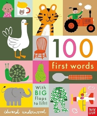 100 First Words(English, Board book, unknown)