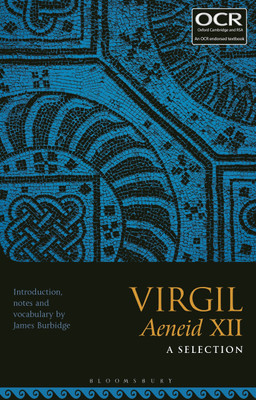 Virgil Aeneid XII: A Selection(English, Paperback, unknown)