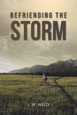 Befriending the Storm(English, Paperback, Wild J W)