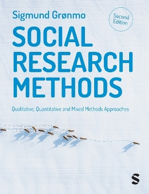 Social Research Methods(English, Paperback, Gronmo Sigmund)